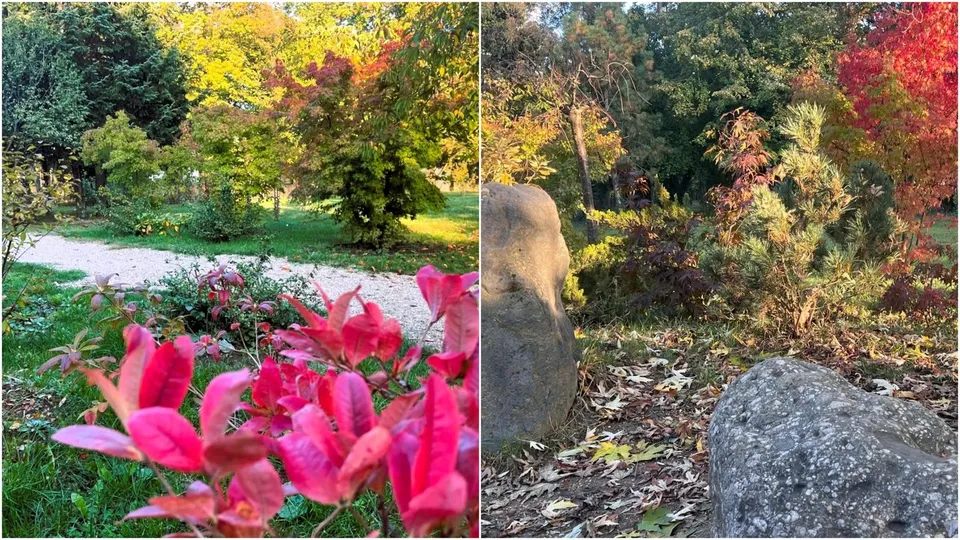 Două fotografii prezintă vegetație cu frunze verzi și roșii, un drum de pietriță și câteva pietre mari pe un teren acoperit de frunze uscate.