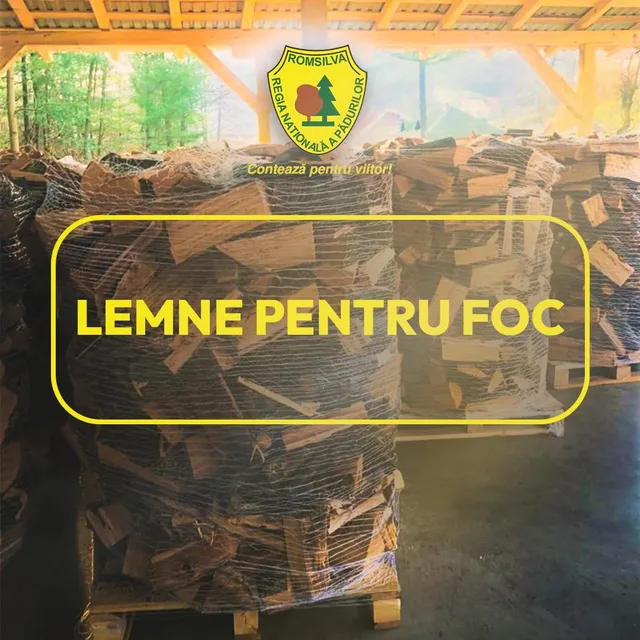 Muchii de bucăți de lemn tăiate sunt stivuite pe paleți și învelite în folie transparentă sub o structură de lemn.