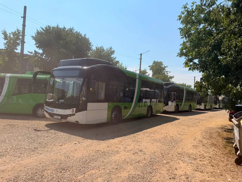 Mai multe autobuze verzi și albe sunt parcate pe un teren cu pietriș sub un cer senin.