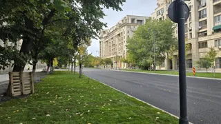 O stradă asfaltată este delimitată de o zonă cu iarbă verde și copaci, având clădiri înalte în fundal sub un cer înnorat.