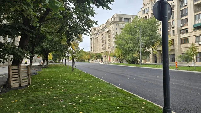 O stradă asfaltată este delimitată de o zonă cu iarbă verde și copaci, având clădiri înalte în fundal sub un cer înnorat.