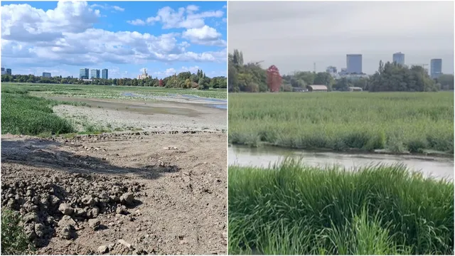 Două fotografii prezintă un peisaj cu vegetație verde, zone de pământ întins și un plan de apă sub un cer cu nori.