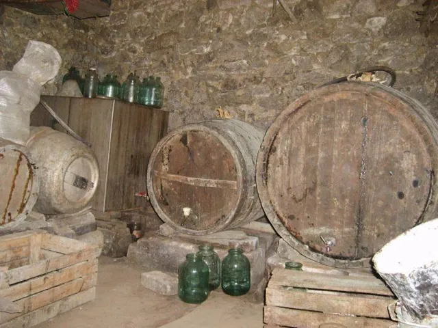 Mai multe butoaie de lemn și sticle de sticlă verde sunt așezate pe podeaua unui spațiu cu pereți din piatră.