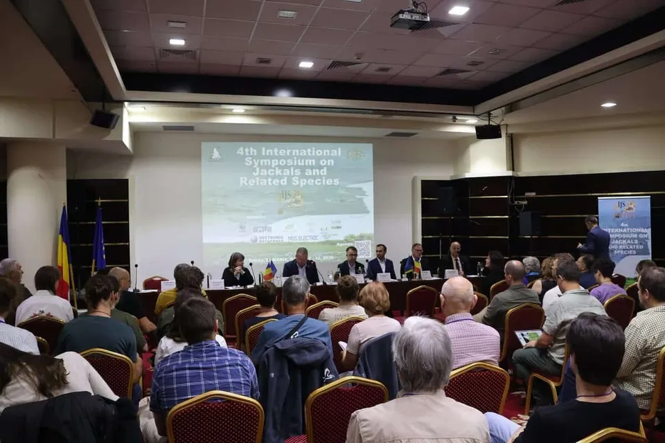 Oamenii stau la mese cu scaune roșii și privesc un ecran de proiecție care afișează textul unui simpozion într-o sală de conferințe.