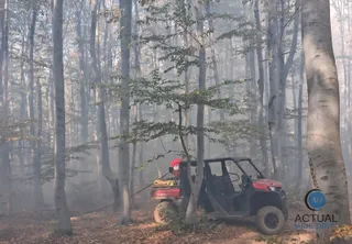Un vehicul utilitar de culoare roșie este parcat într-o pădure cu copaci înalți și ceață densă de fum.