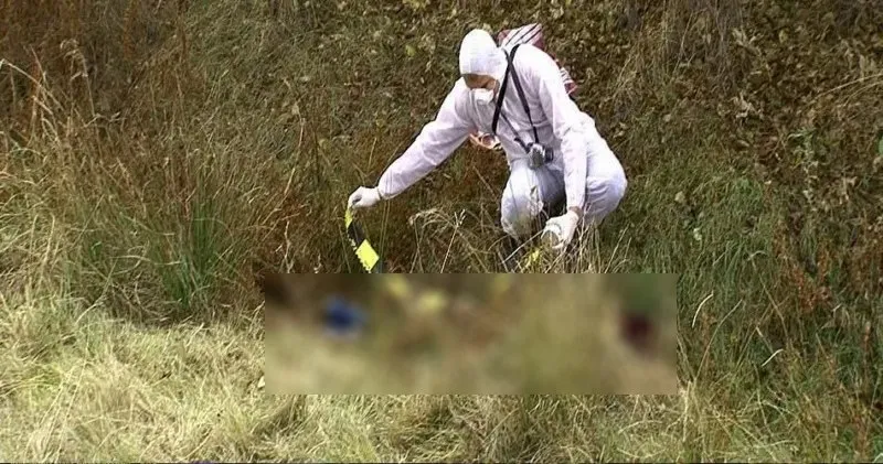 O persoană îmbrăcată într-un costum alb de protecție cu mască și mănuși se apleacă într-o zonă cu iarbă înaltă și vegetație uscată.