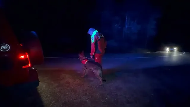 O persoană cu vestă reflectorizantă stă lângă un câine pe un drum întunecat, în prezența luminilor unei mașini.