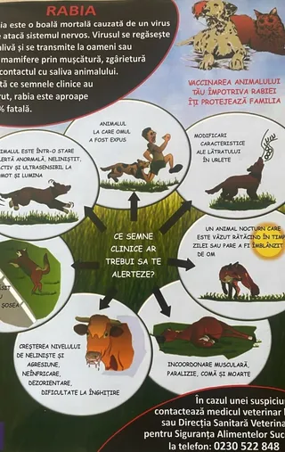 Un afiș informativ despre rabie prezintă ilustrații cu animale precum vulpi, un câine și o pisică, alături de diverse diagrame și text explicativ.