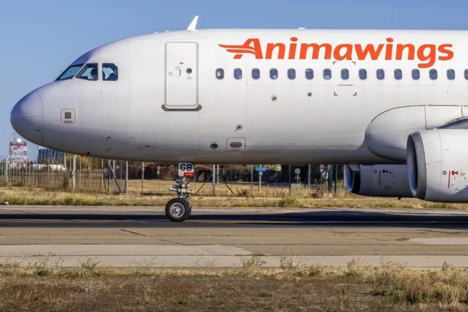Un avion alb cu inscripția Animawings portată în roșu este parcat pe o pistă de aterizare sub un cer senin.