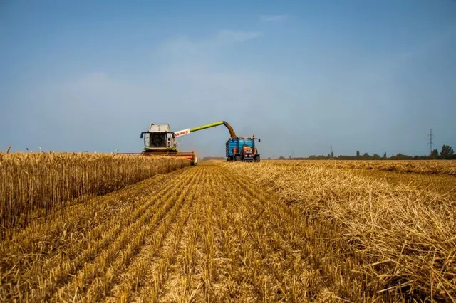 Două utilaje agricole recoltează cereale într-un câmp sub un cer senin.