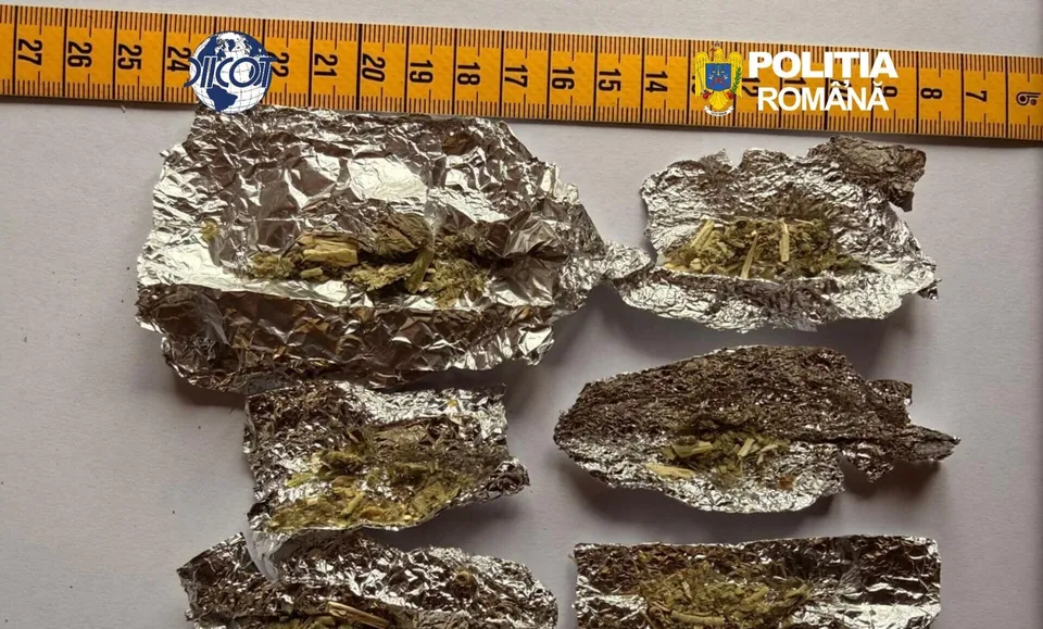 Cinci bucăți de folie de aluminiu conținând substanțe vegetale sunt așezate pe o suprafață lângă o riglă galbenă.