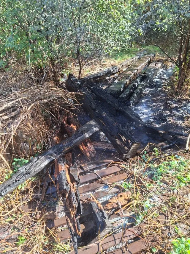 Lemn ars și resturi de vegetație uscată sunt împrăștiate pe un teren cu sol negru și zone cu apă.