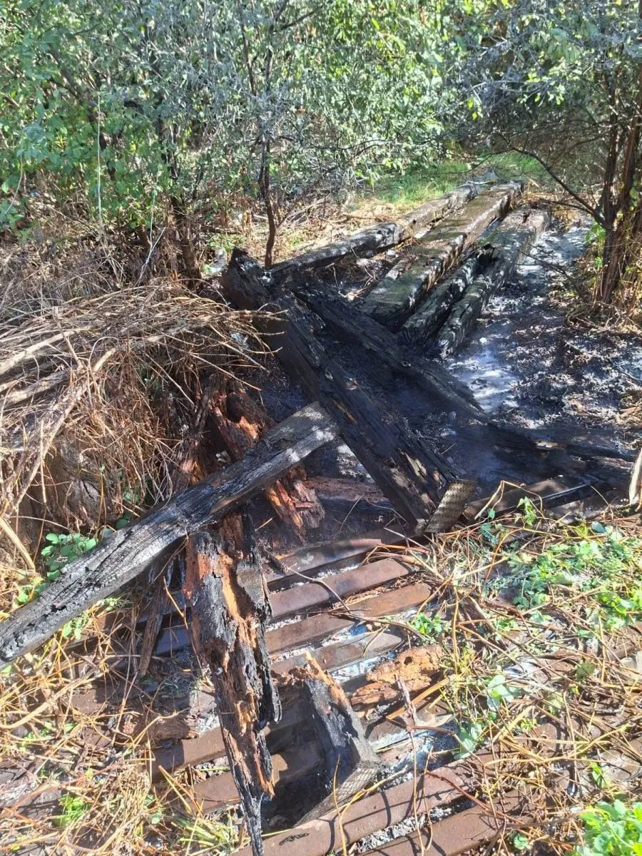 Lemn ars și resturi de vegetație uscată sunt împrăștiate pe un teren cu sol negru și zone cu apă.