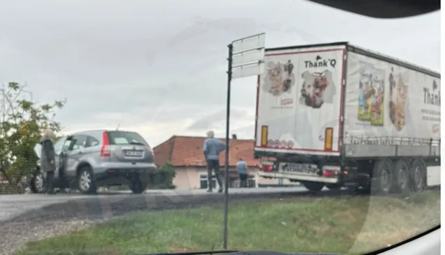 Un autoturism gri este parcat pe marginea drumului lângă un camion mare cu remorcă albă decorată cu imagini cu animale.