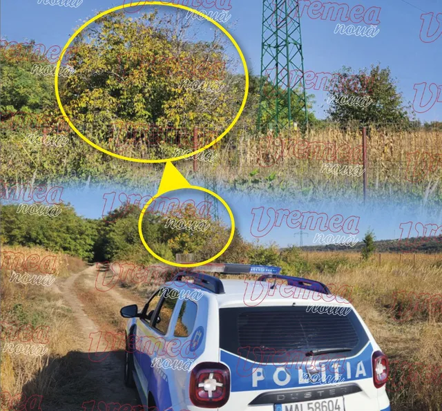 O mașină de poliție albastră și albă este parcată pe un drum de țară lângă vegetație uscată și un turn metalic înalt.