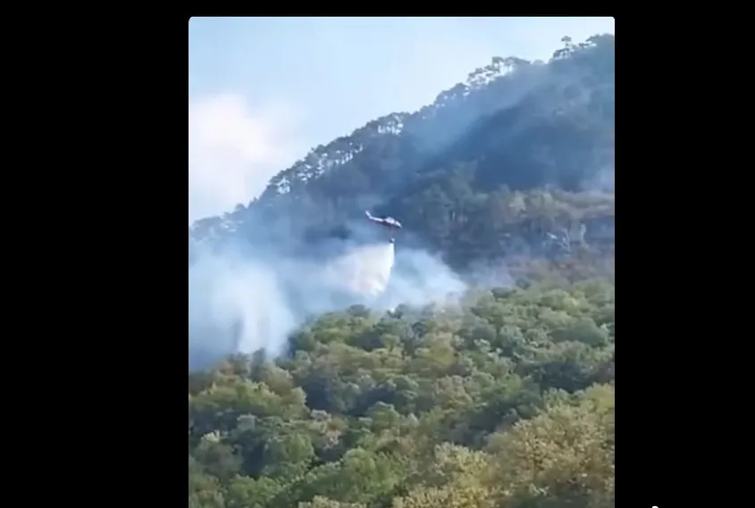 Un elicopter zboară deasupra unei păduri deasă, eliberând un jet de apă peste copaci înconjurați de fum alb.