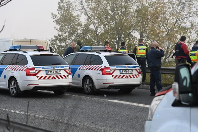 Două mașini de poliție albe cu dungi roșii și albastre sunt parcate pe un drum lângă un grup de oameni.