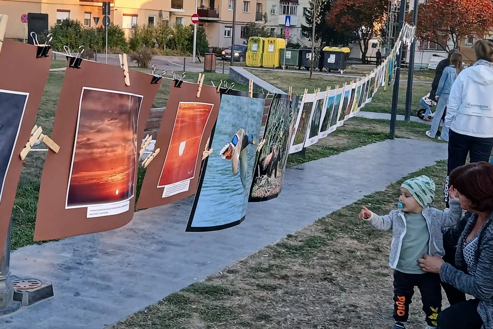 O serie de fotografii este suspendată pe un șnur întins pe un drum pietonal, lângă un grup de persoane și un copil.