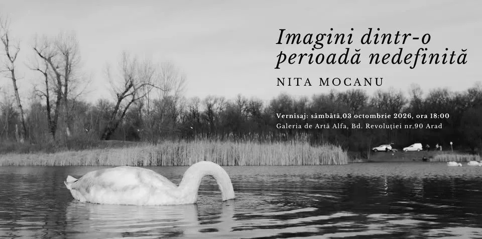 Un lebădă albă plutește pe o suprafață de apă lângă o zonă cu vegetație și copaci sub un cer deschis.