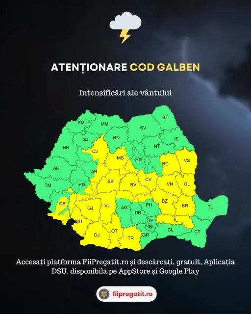 Fotografie din sursa articolului.