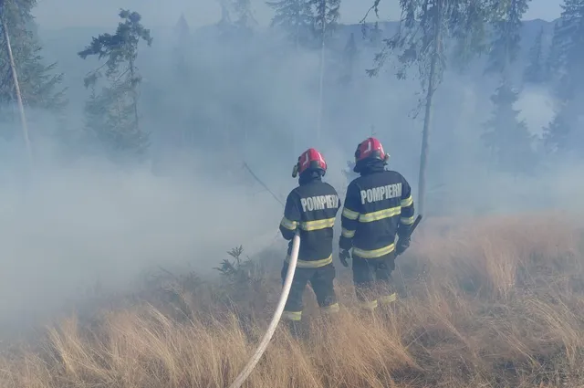 Doi pompieri în uniforme de lucru cu benzi reflectorizante stau cu spatele într-o zonă cu iarbă uscată și fum dens.