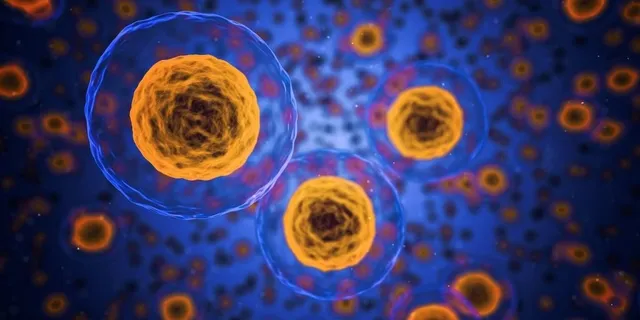 Reprezentare digitală a unor structuri celulare rotunde cu nucleu portocaliu și membrană albastră pe un fundal închis.