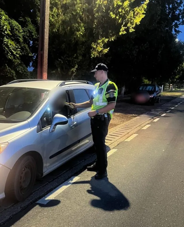 Un polițist cu vestă reflectorizantă stă lângă portiera deschisă a unei mașini argintii pe un drum asfaltat lângă copaci.