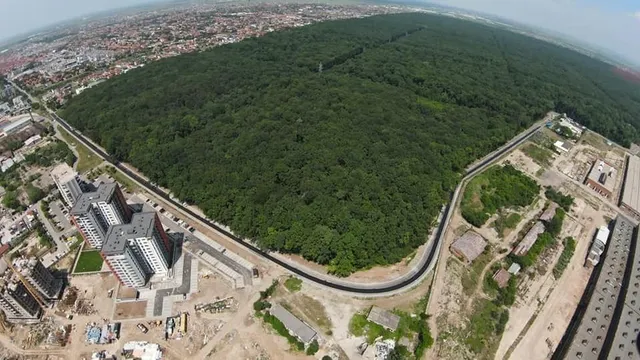 O vedere aeriană de la înălțime prezintă o întinsă pădure de copaci verzi înconjurată de drumuri, clădiri rezidențiale și zone de construcții.