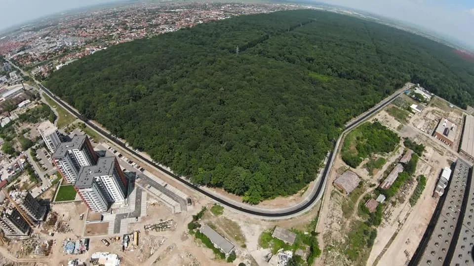 O vedere aeriană de la înălțime prezintă o întinsă pădure de copaci verzi înconjurată de drumuri, clădiri rezidențiale și zone de construcții.