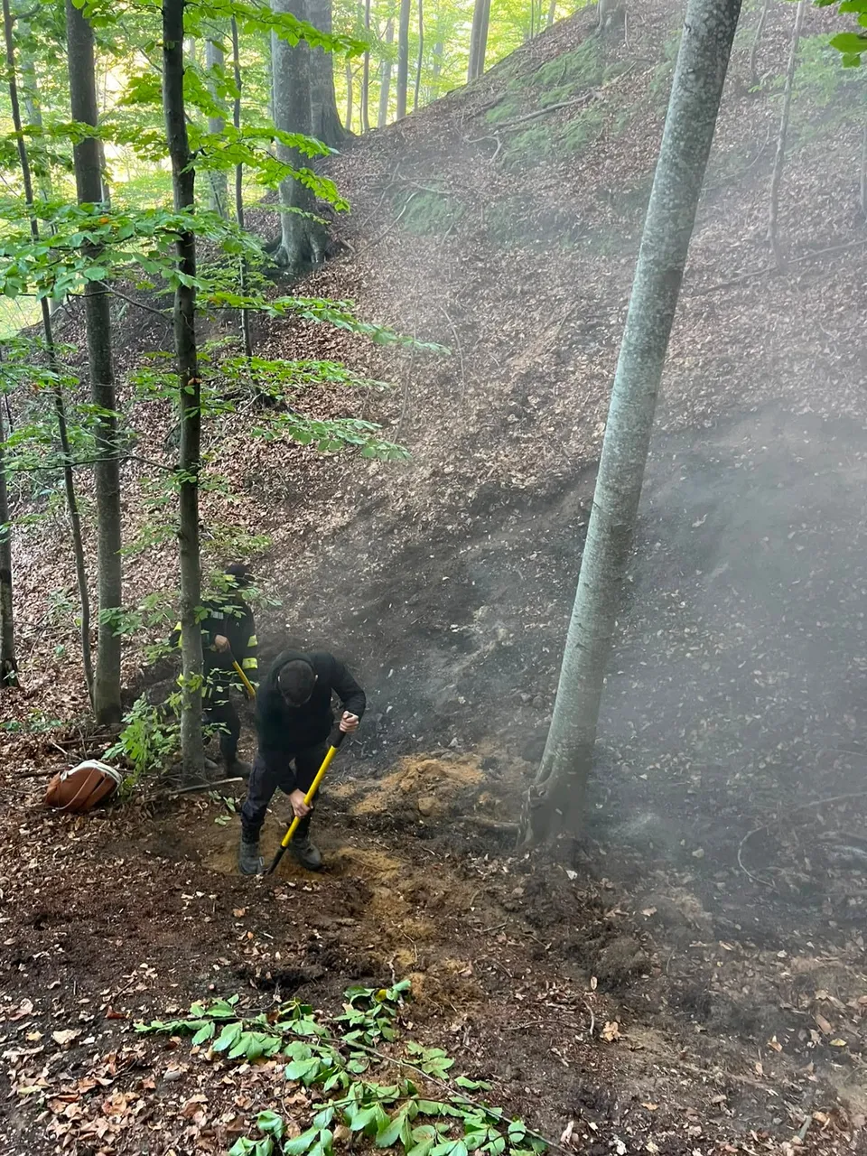 Un bărbat cu haine închise folosește un instrument cu mâner lung pe un teren înclinat, acoperit de pământ și vegetație într-o pădure.