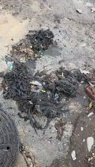 Multe șervețele umede și resturi de deșeuri sunt împrăștiate pe un sol de beton umed.