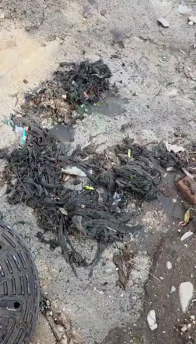 Multe șervețele umede și resturi de deșeuri sunt împrăștiate pe un sol de beton umed.