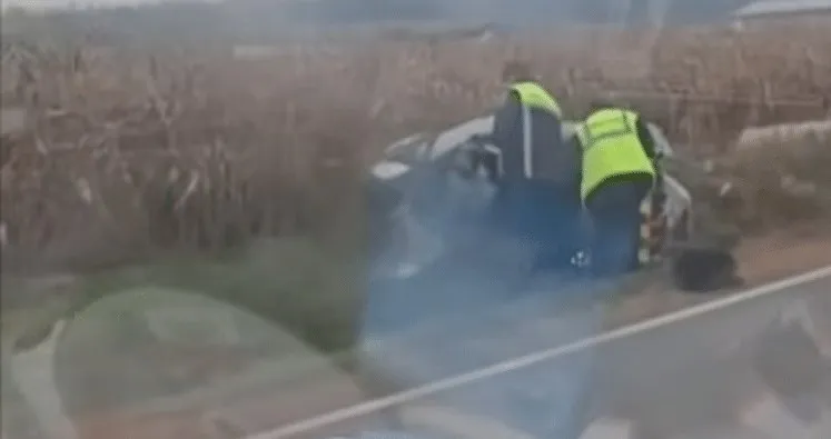 Două persoane purtând veste fluorescente de culoare galbenă stau lângă un autoturism gri aflat într-un câmp de porumb.