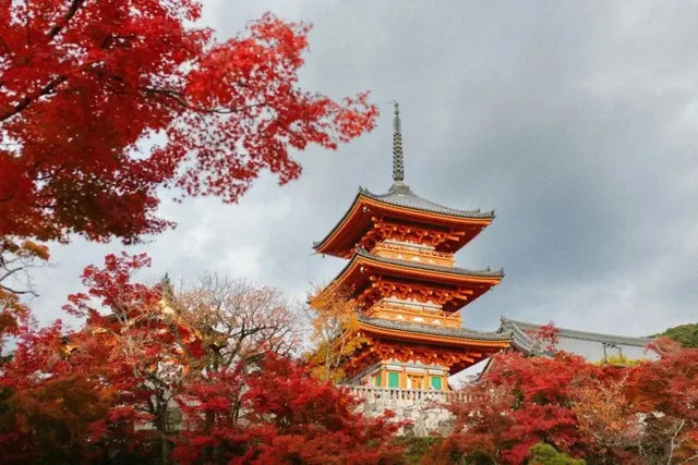 O pagodă japoneză cu mai multe etaje este înconjurată de copaci cu frunze roșii sub un cer înnorat.
