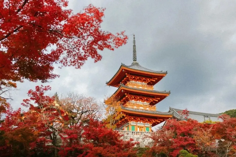O pagodă japoneză cu mai multe etaje este înconjurată de copaci cu frunze roșii sub un cer înnorat.