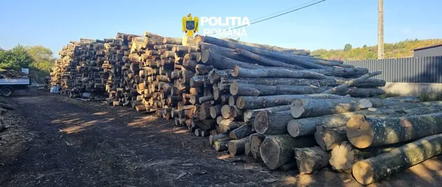 O stivă mare de bușteni de lemn este depozitată pe un teren de pământ lângă o clădire și un utilitar.