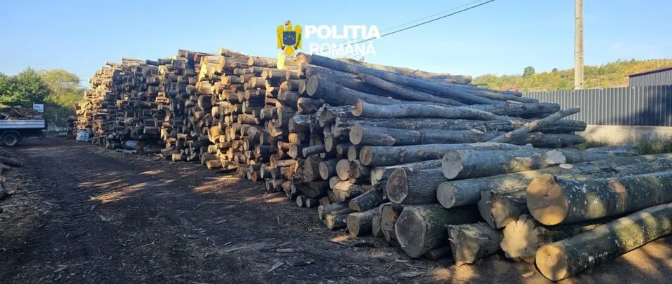 O stivă mare de bușteni de lemn este depozitată pe un teren de pământ lângă o clădire și un utilitar.