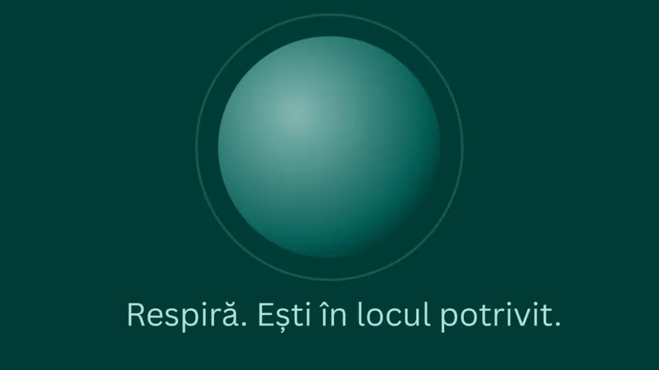 Un cerc gradient de culoare verde-turcoaz este centrat pe un fundal verde închis, deasupra unui text alb scris în partea de jos.