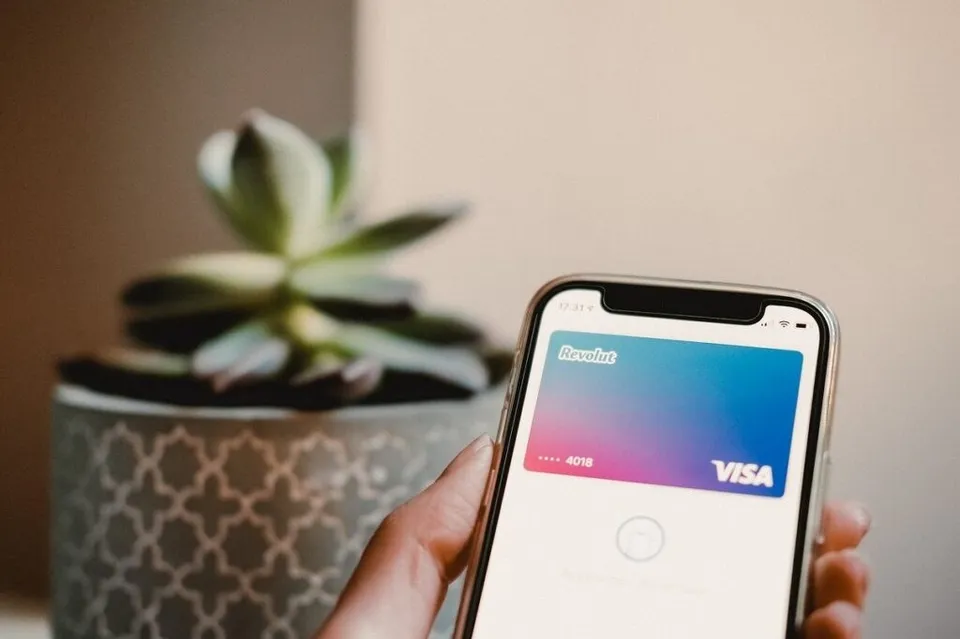 O mână ține un smartphone care afișează o imagine cu un card de credit albastru și roz pe ecran, lângă o plantă într-un ghiveci decorativ.