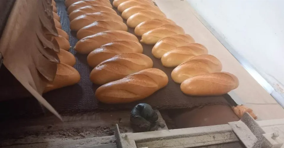 Rânduri de pâini coapte sunt așezate pe un bandă de transport într-un cuptor industrial.