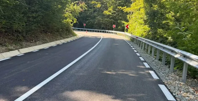 O porțiune de drum asfaltat cu linii albe marcate se întinde spre o curbă înconjurată de vegetație și de un parapet metalic.