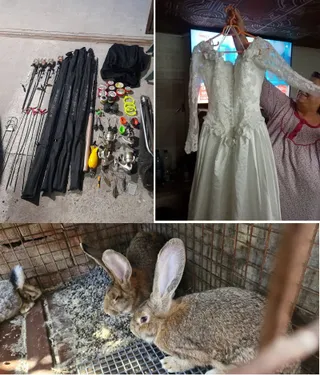 Un colaj format dintr-o serie de cortine de pescuit, o rochie albă de mireasă și doi iepuri într-o cușcă metalică.