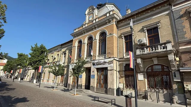 O clădire veche din cărămidă cu ferestre înalte, balcoane și steaguri este situată pe o stradă pietonală cu copaci și bănci.