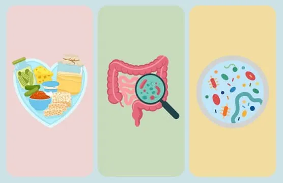 Trei panouri colorate prezintă un inimă cu alimente, o ilustrație a intestinului cu o lupă și un cerc cu diverse microorganisme colorate.