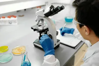O persoană cu ochelari și mănuși albastre folosește un microscop pe o masă de laborator cu plăci Petri și un vas de sticlă.