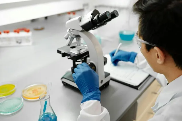 O persoană cu ochelari și mănuși albastre folosește un microscop pe o masă de laborator cu plăci Petri și un vas de sticlă.