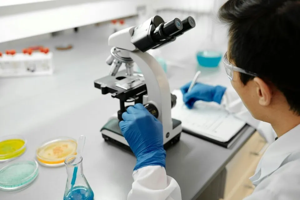 O persoană cu ochelari și mănuși albastre folosește un microscop pe o masă de laborator cu plăci Petri și un vas de sticlă.