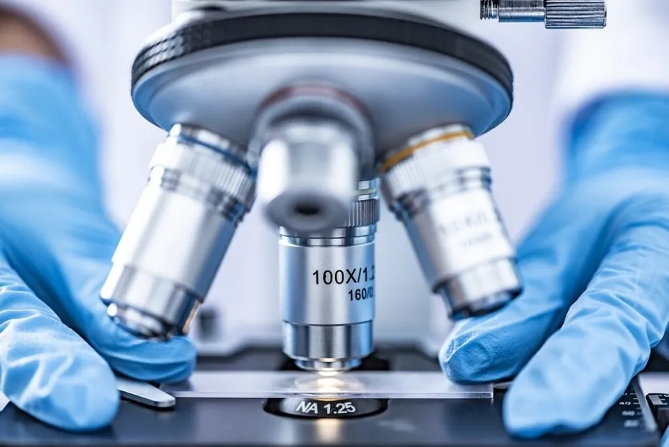 Mâini purtând mănuși albastre ajustează un microscop cu diverse obiective metalice deasupra unei plăci de sticlă.