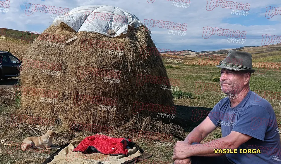 Un bărbat cu căciulă și tricou albastru stă lângă un stog de fân mare sub un cer înnorat.