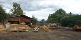 Stive de scânduri de lemn sunt depozitate pe un teren deschis lângă un șopron de lemn sub un cer înnorat.